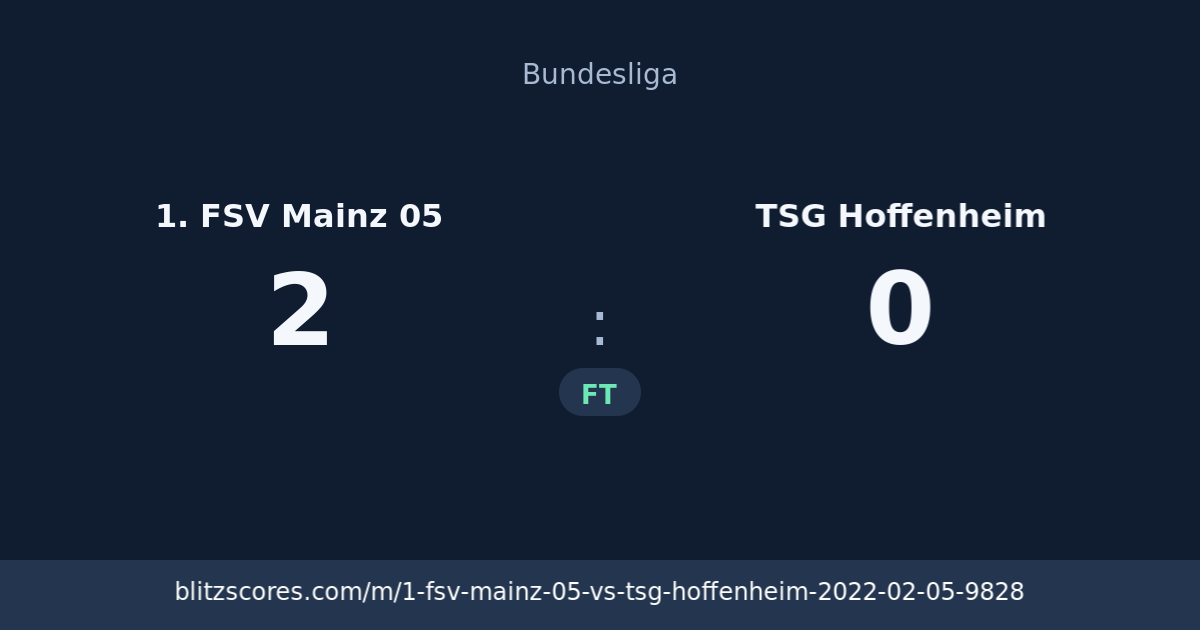 1. FSV Mainz 05 vs TSG Hoffenheim score card