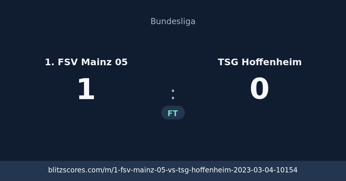 1. FSV Mainz 05 vs TSG Hoffenheim score card