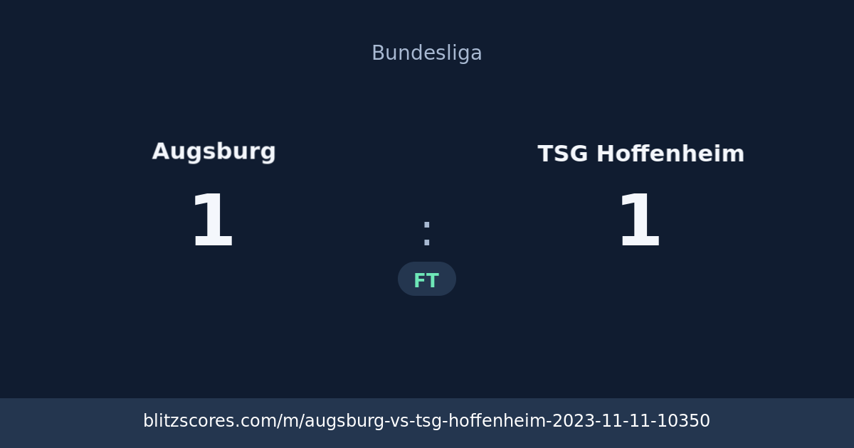 Augsburg vs TSG Hoffenheim score card