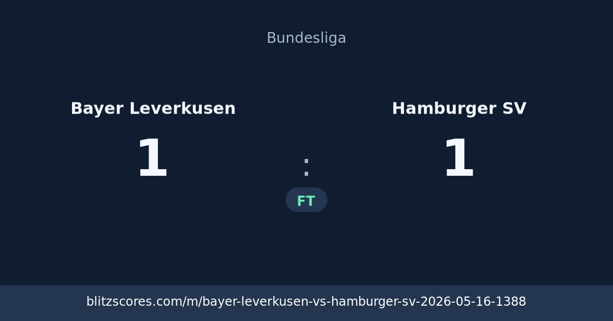Bayer Leverkusen vs Hamburger SV score card