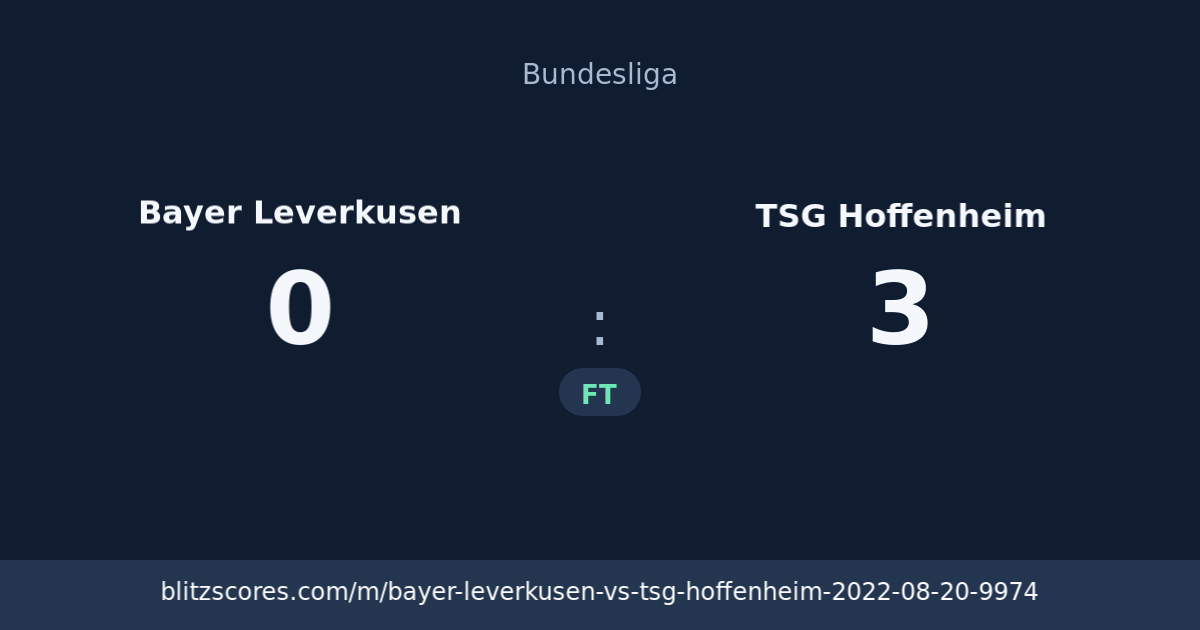 Bayer Leverkusen vs TSG Hoffenheim score card
