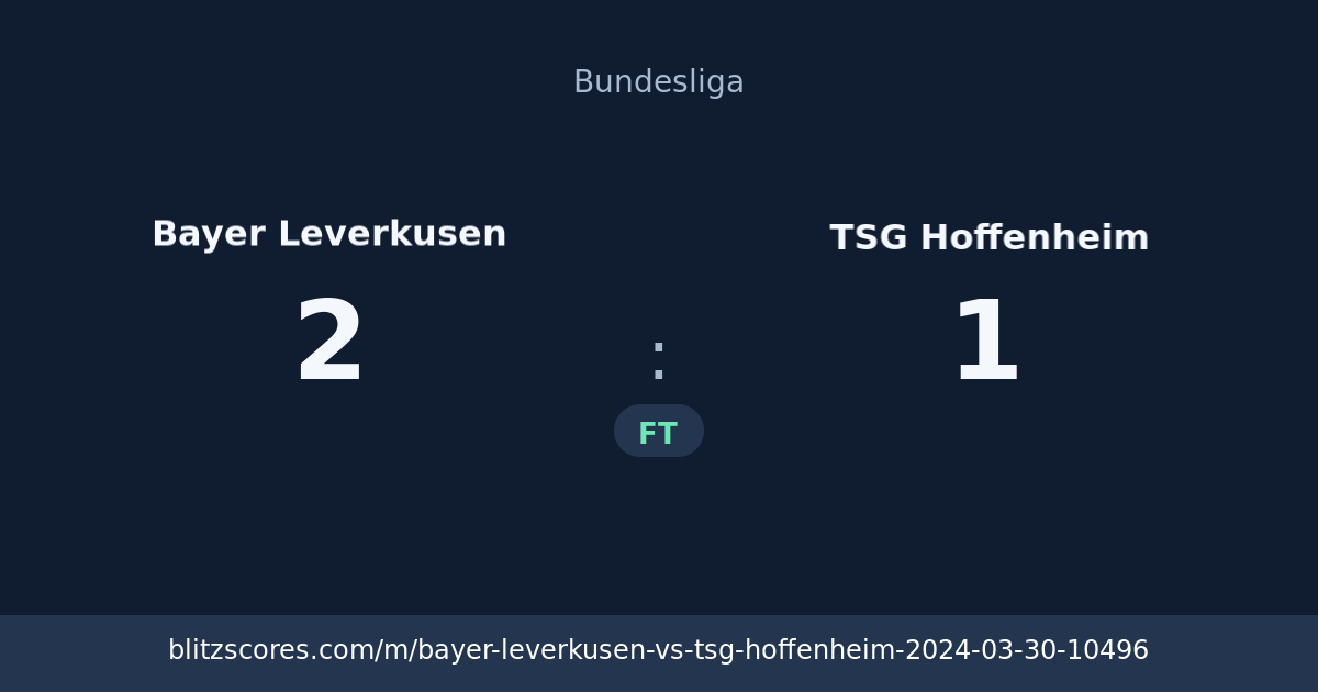 Bayer Leverkusen vs TSG Hoffenheim score card