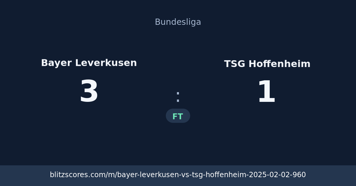 Bayer Leverkusen vs TSG Hoffenheim score card