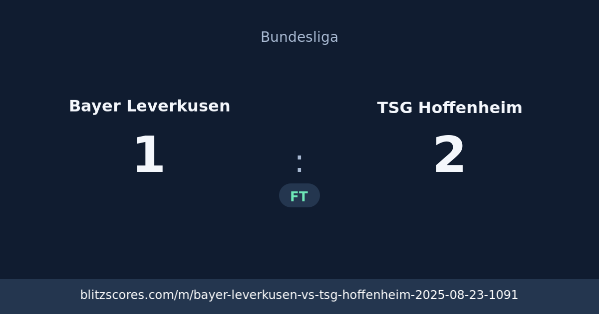 Bayer Leverkusen vs TSG Hoffenheim score card