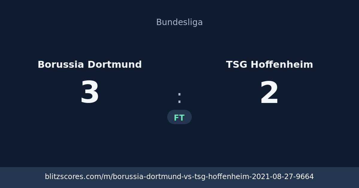 Borussia Dortmund vs TSG Hoffenheim score card