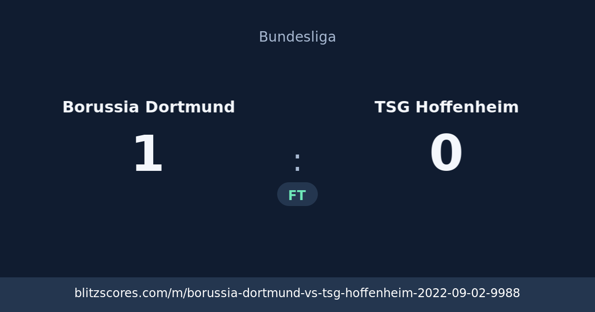 Borussia Dortmund vs TSG Hoffenheim score card