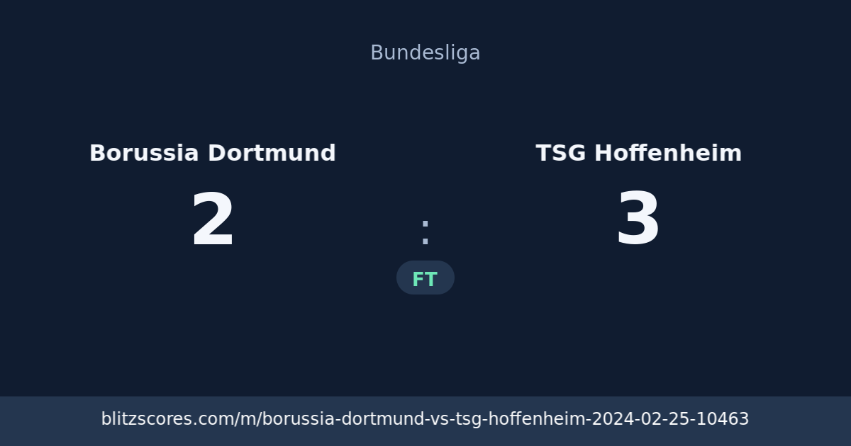 Borussia Dortmund vs TSG Hoffenheim score card