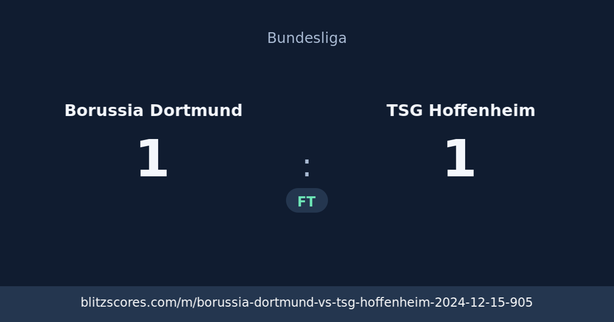 Borussia Dortmund vs TSG Hoffenheim score card