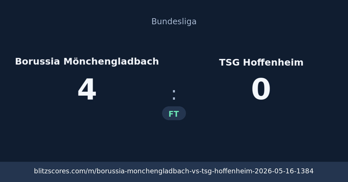 Borussia Mönchengladbach vs TSG Hoffenheim score card