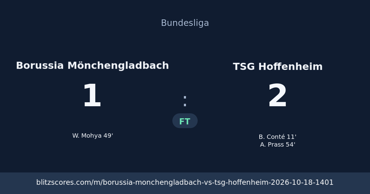 Borussia Mönchengladbach vs TSG Hoffenheim score card
