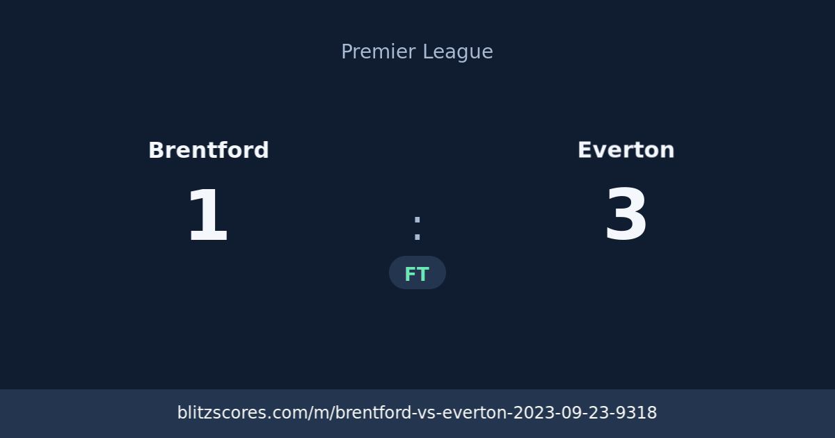Brentford vs Everton score card