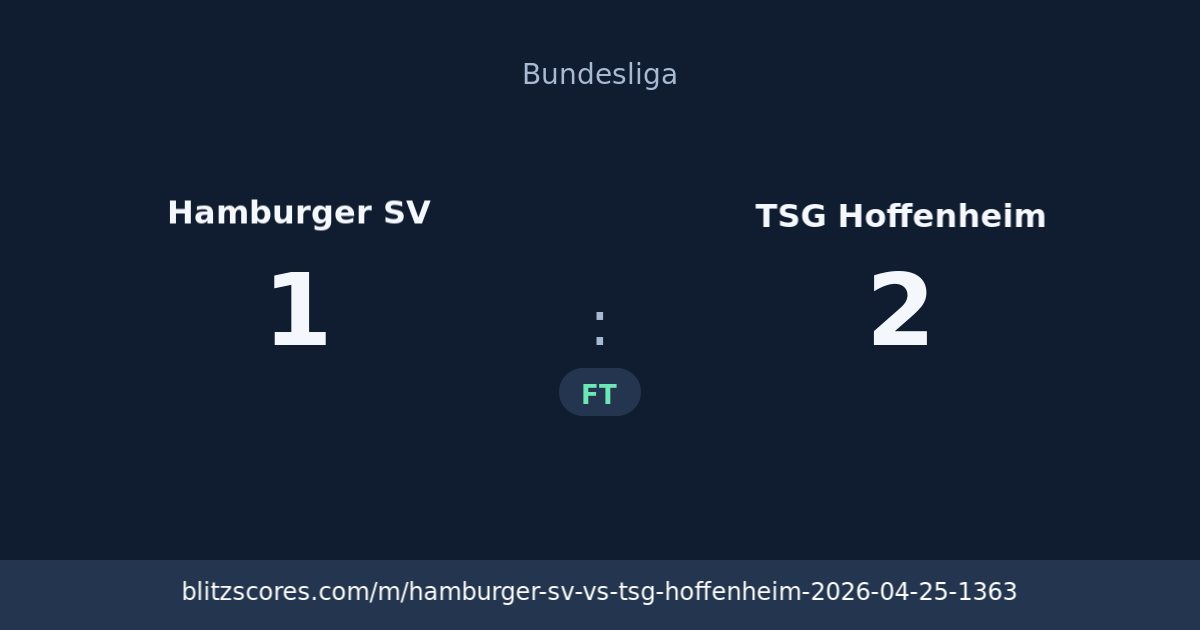 Hamburger SV vs TSG Hoffenheim score card