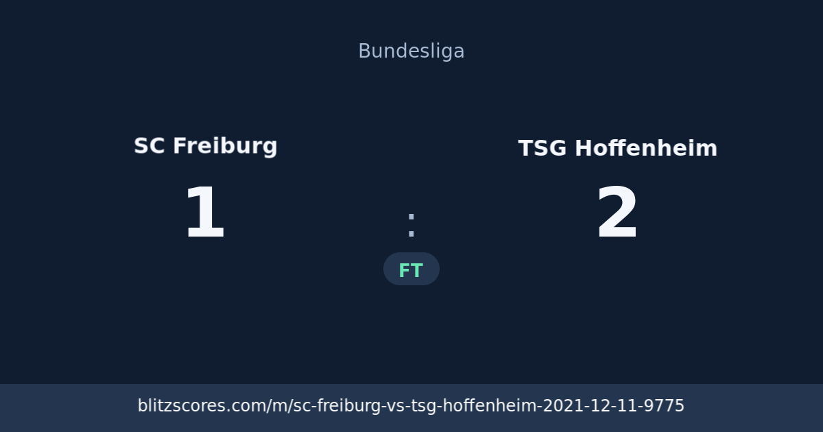 SC Freiburg vs TSG Hoffenheim score card