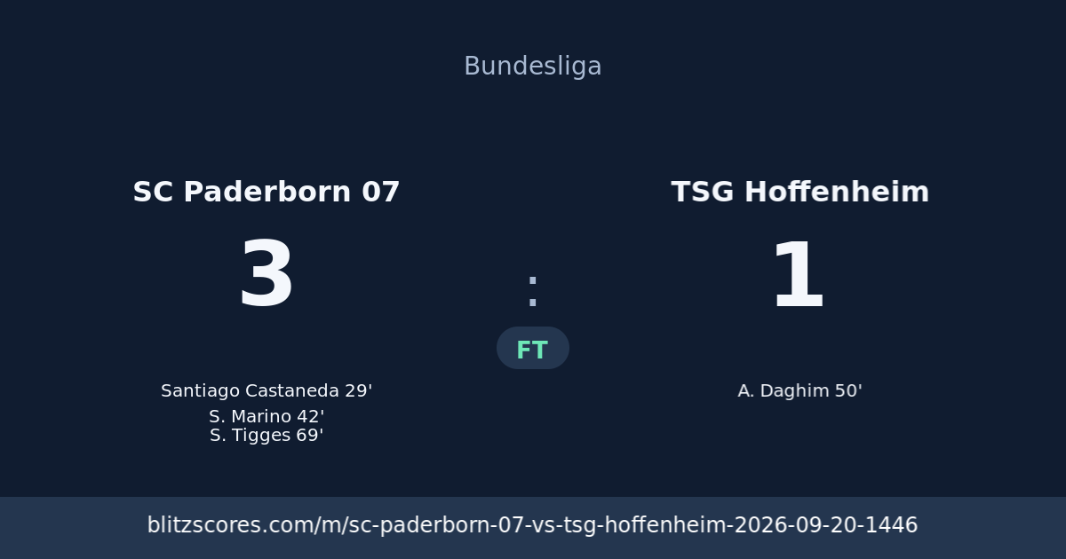 SC Paderborn 07 vs TSG Hoffenheim score card