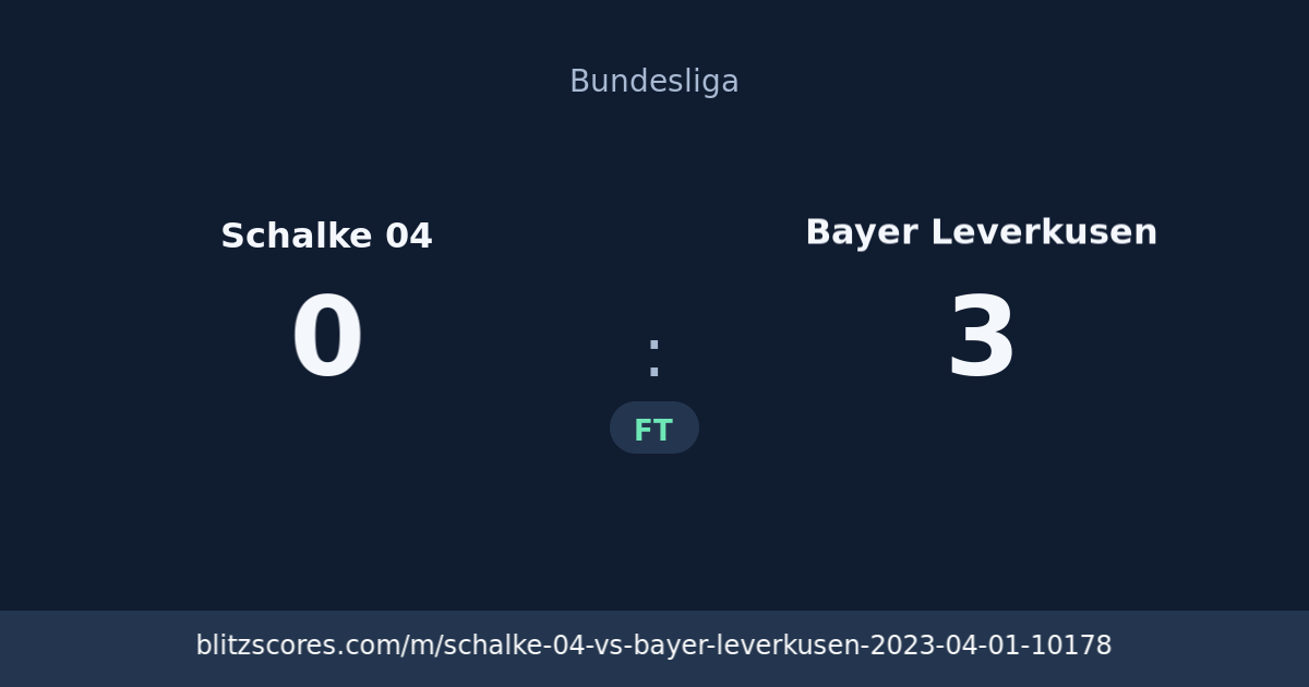 Schalke 04 vs Bayer Leverkusen score card