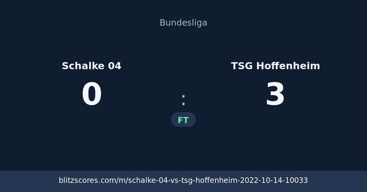 Schalke 04 vs TSG Hoffenheim score card