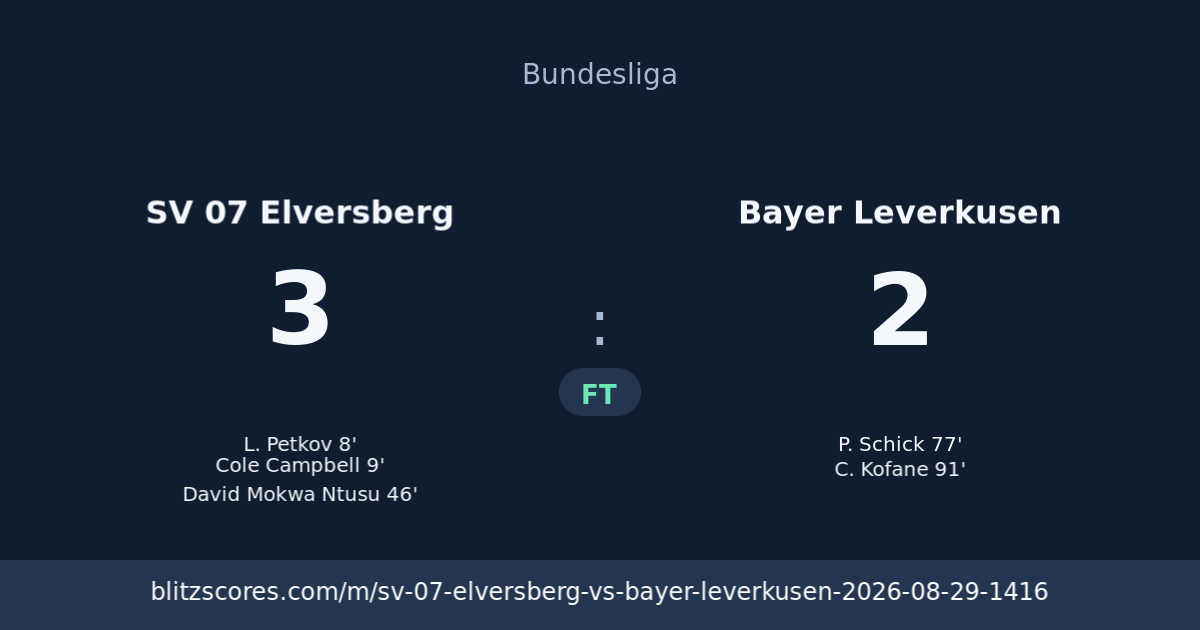SV 07 Elversberg vs Bayer Leverkusen score card