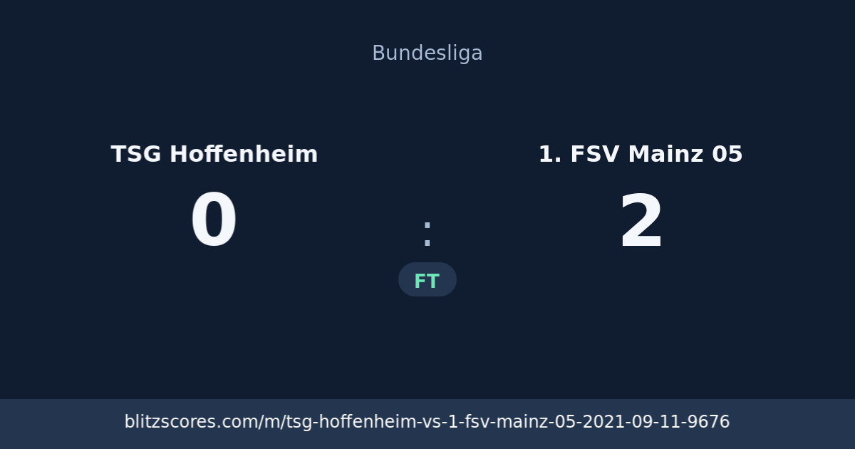 TSG Hoffenheim vs 1. FSV Mainz 05 score card