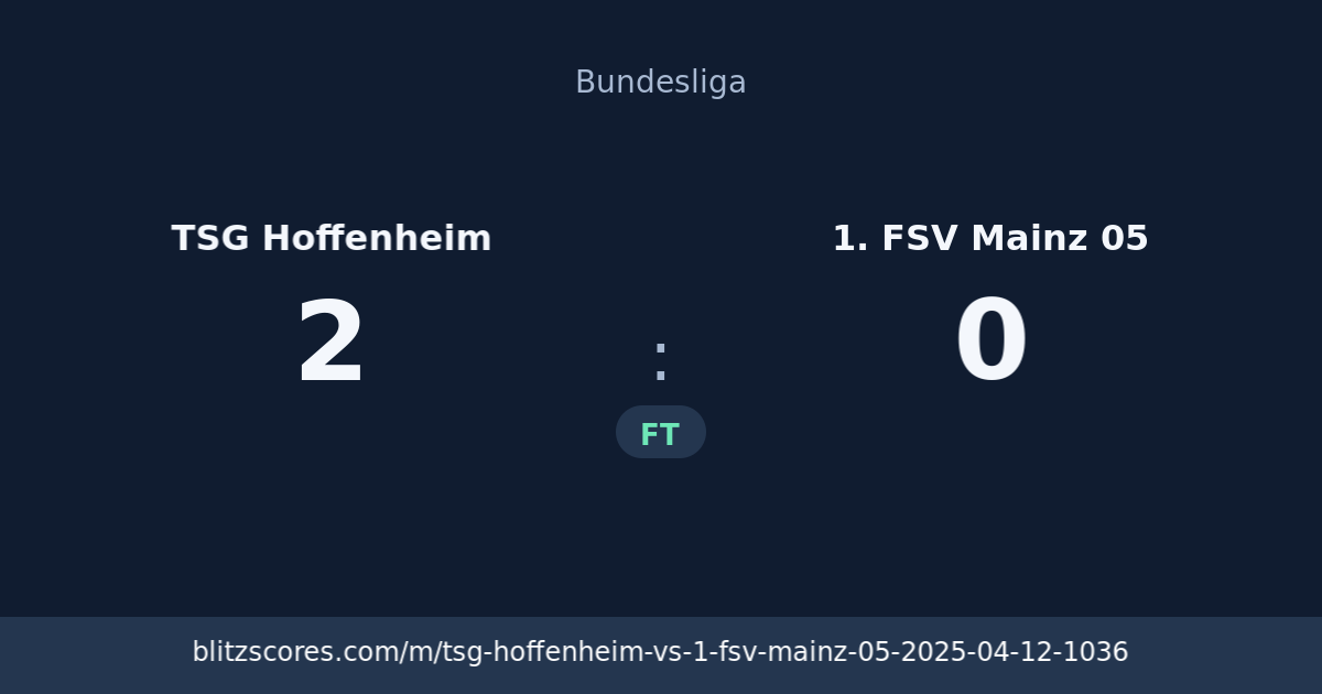 TSG Hoffenheim vs 1. FSV Mainz 05 score card