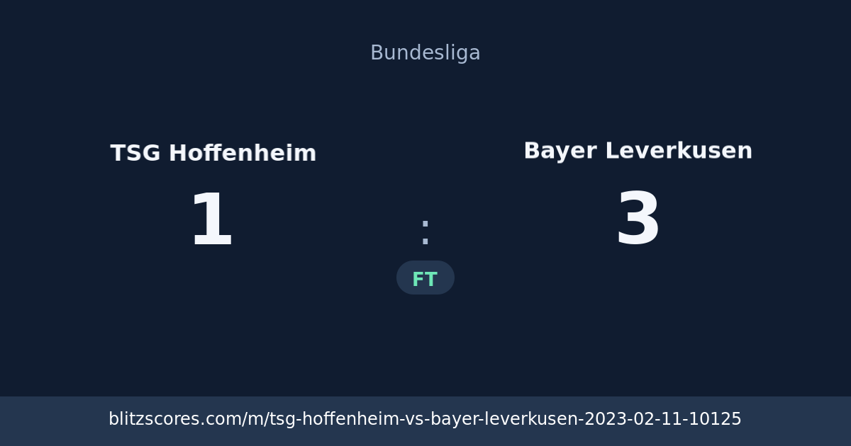 TSG Hoffenheim vs Bayer Leverkusen score card