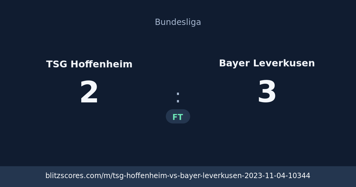 TSG Hoffenheim vs Bayer Leverkusen score card