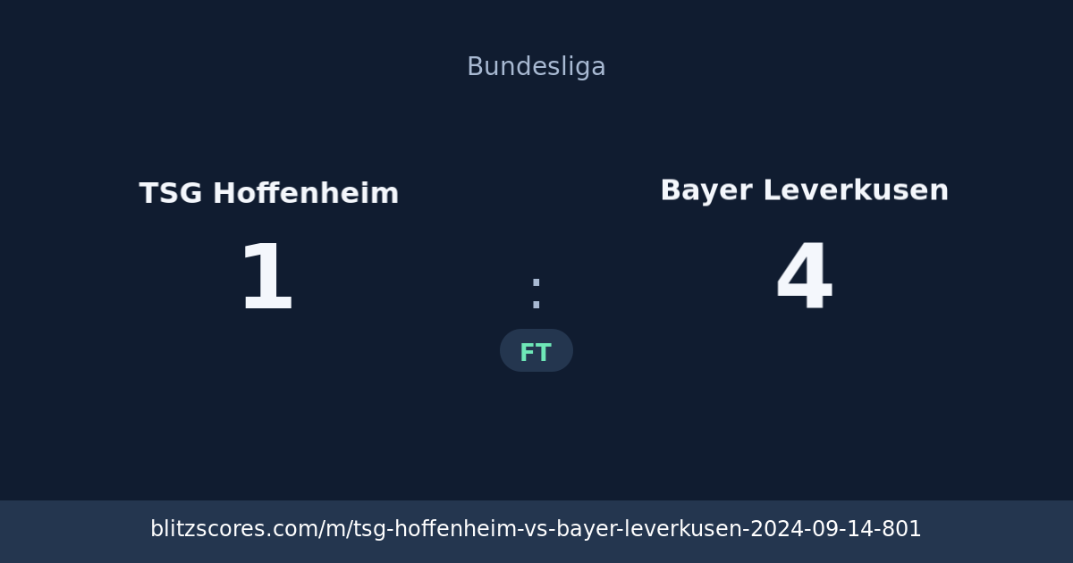 TSG Hoffenheim vs Bayer Leverkusen score card
