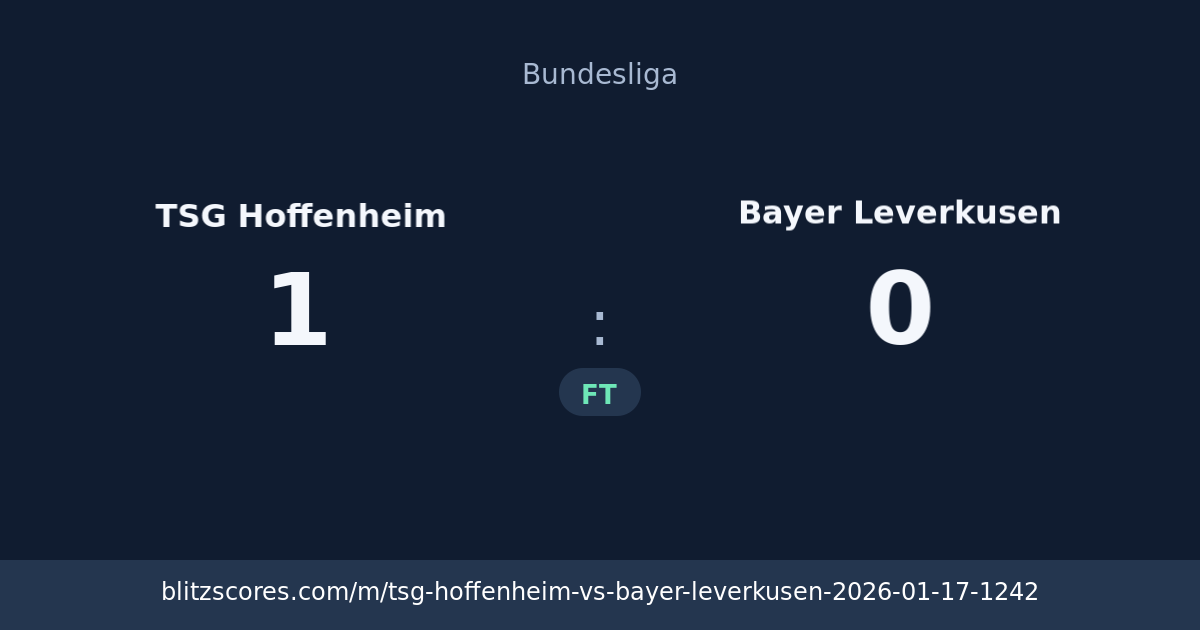 TSG Hoffenheim vs Bayer Leverkusen score card