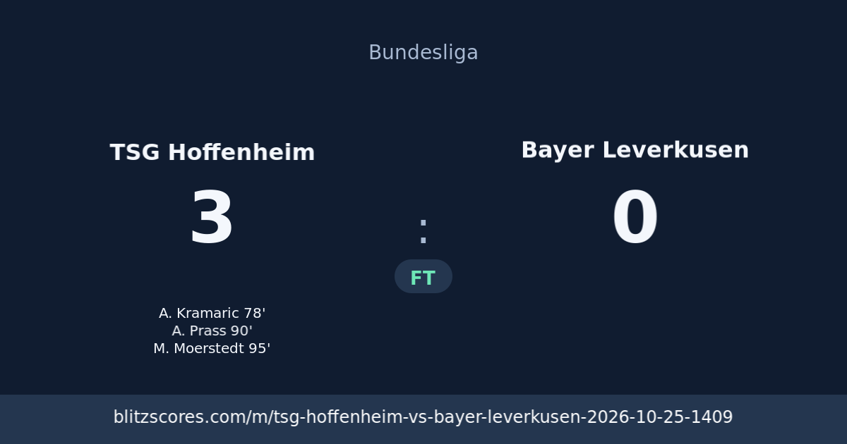 TSG Hoffenheim vs Bayer Leverkusen score card