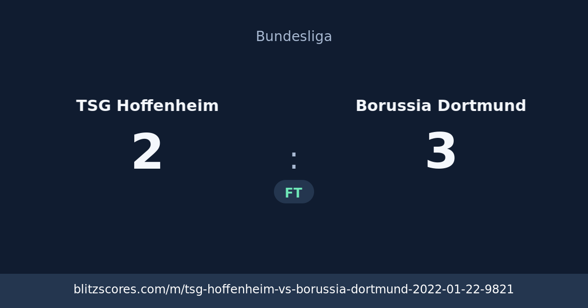 TSG Hoffenheim vs Borussia Dortmund score card