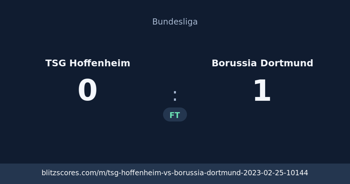 TSG Hoffenheim vs Borussia Dortmund score card
