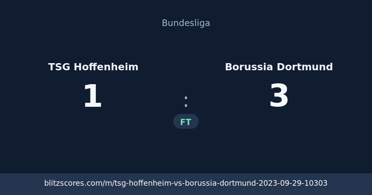 TSG Hoffenheim vs Borussia Dortmund score card