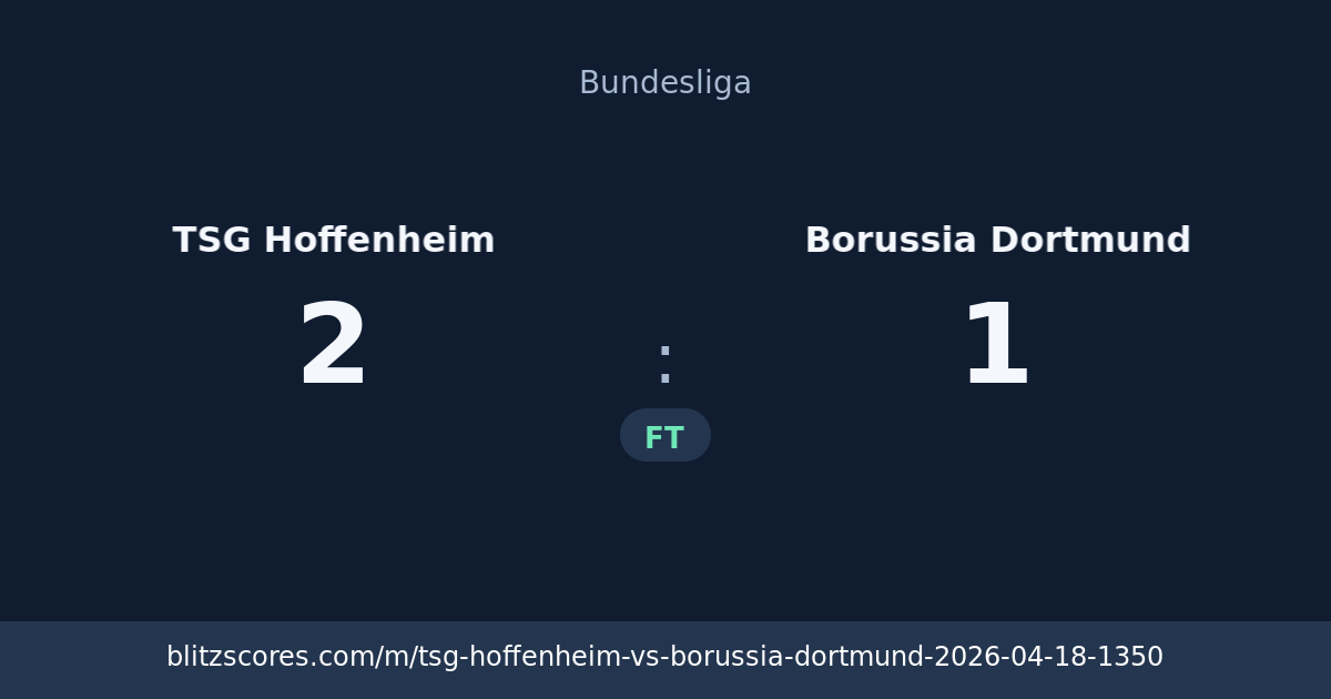TSG Hoffenheim vs Borussia Dortmund score card