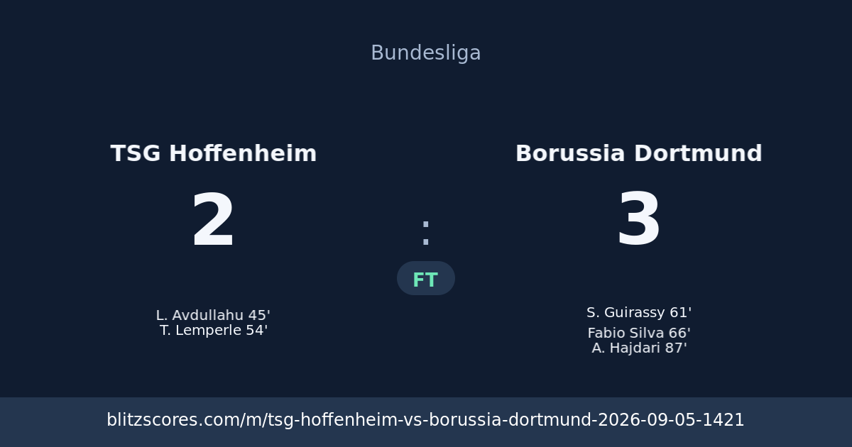 TSG Hoffenheim vs Borussia Dortmund score card