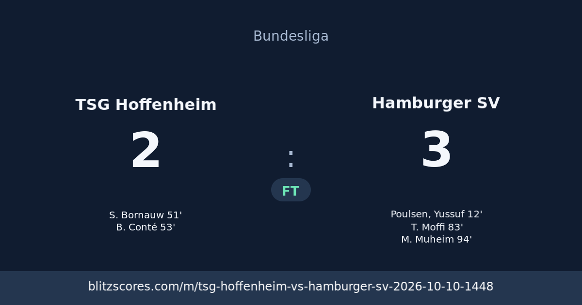 TSG Hoffenheim vs Hamburger SV score card