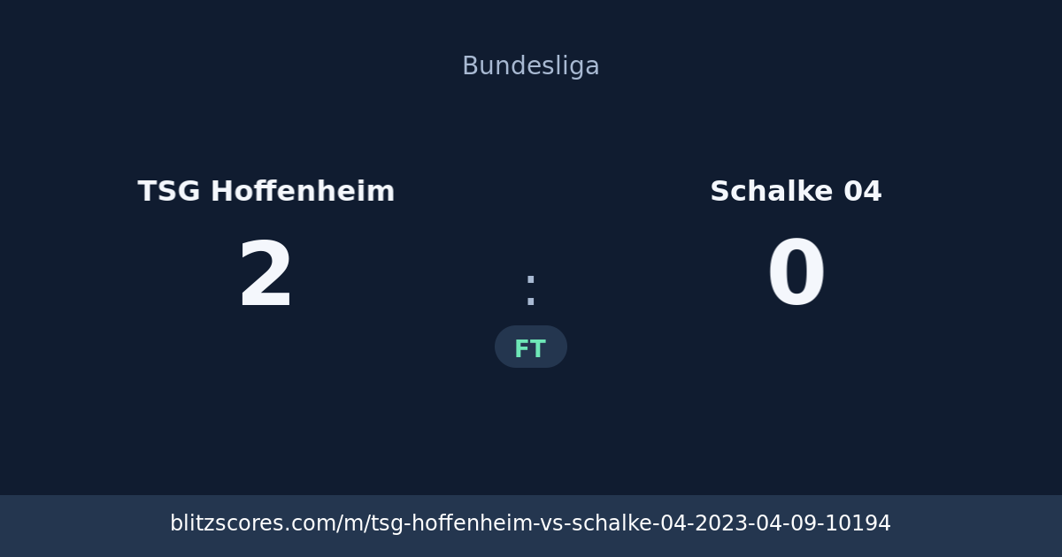 TSG Hoffenheim vs Schalke 04 score card