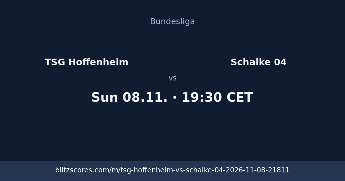 TSG Hoffenheim vs Schalke 04 score card