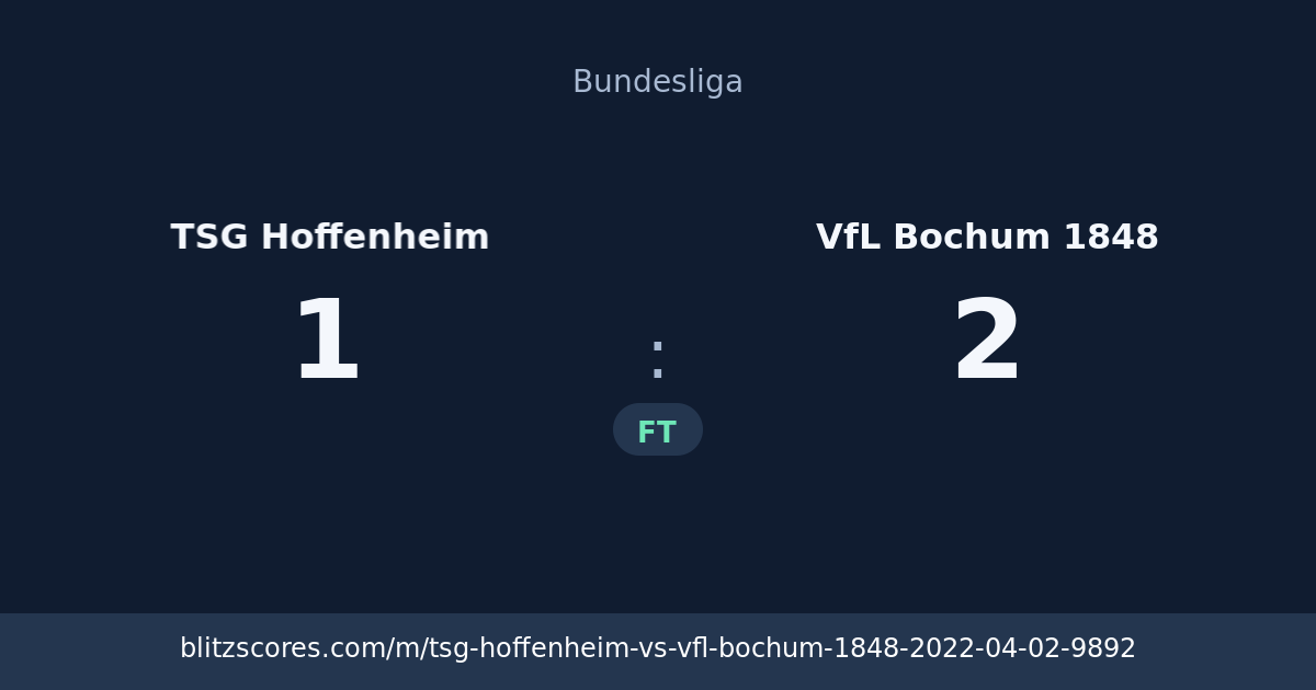 TSG Hoffenheim vs VfL Bochum 1848 score card