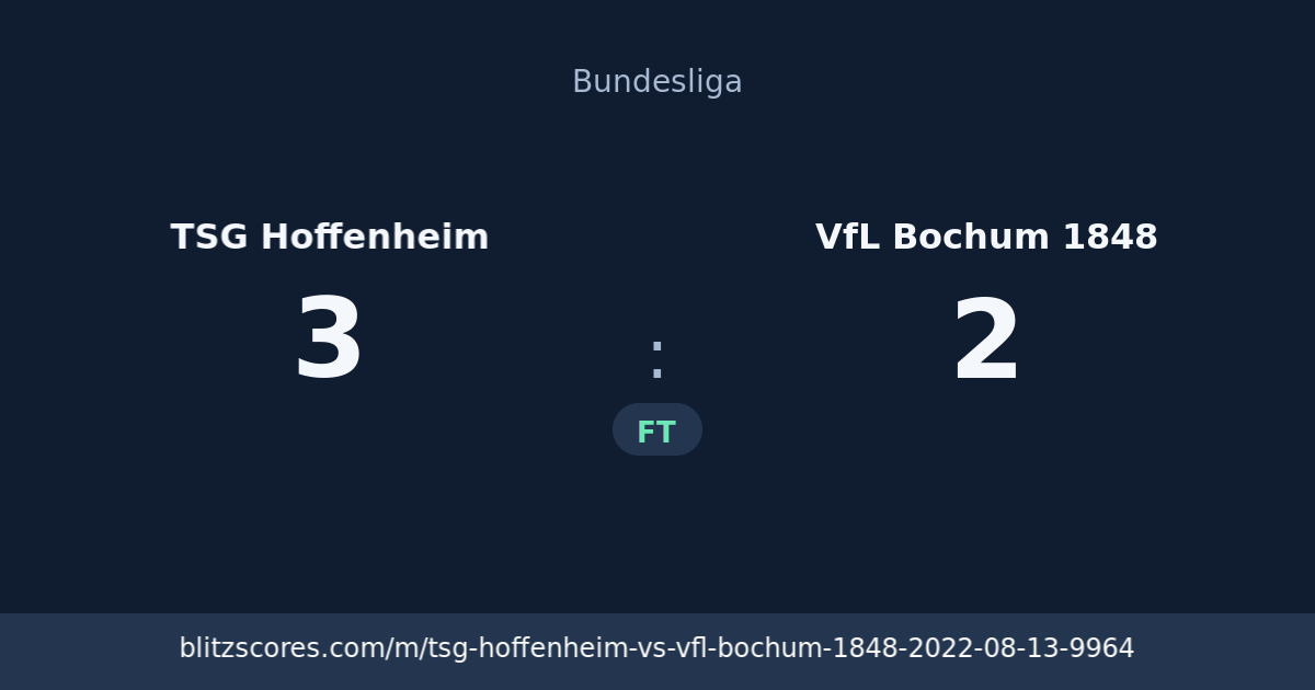 TSG Hoffenheim vs VfL Bochum 1848 score card