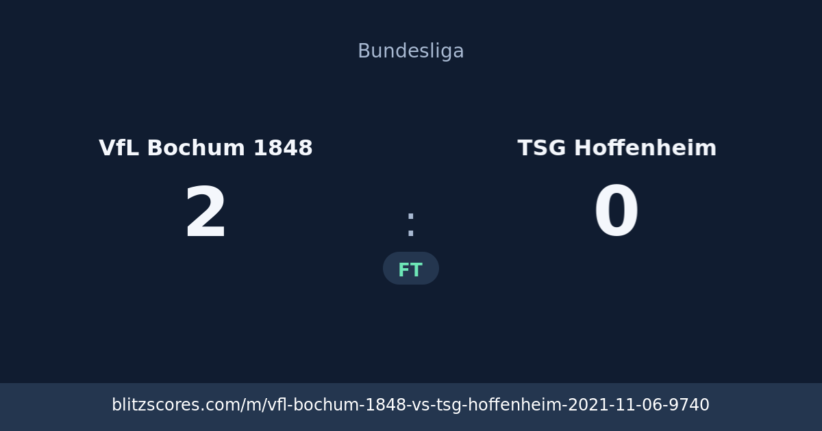 VfL Bochum 1848 vs TSG Hoffenheim score card