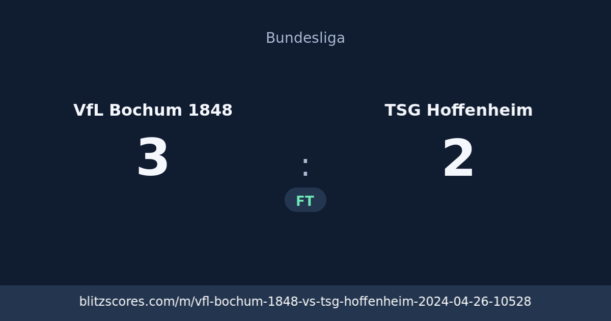 VfL Bochum 1848 vs TSG Hoffenheim score card