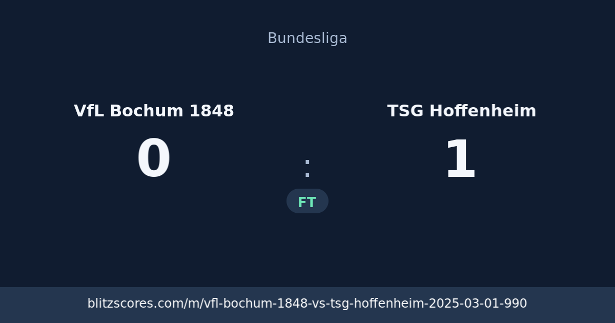 VfL Bochum 1848 vs TSG Hoffenheim score card