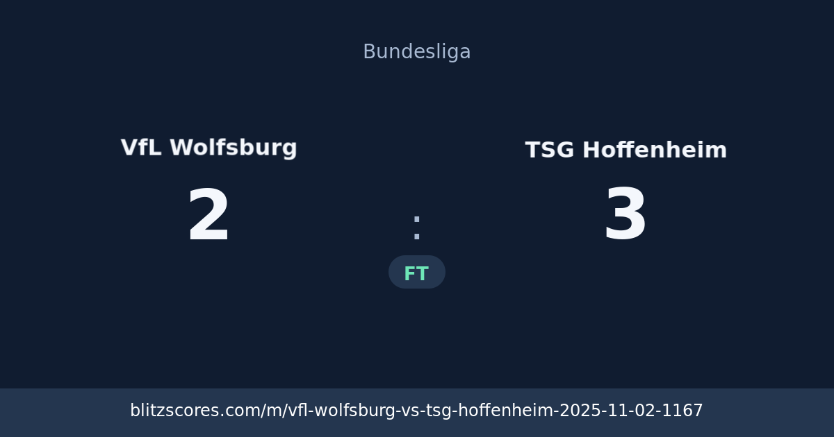 VfL Wolfsburg vs TSG Hoffenheim score card