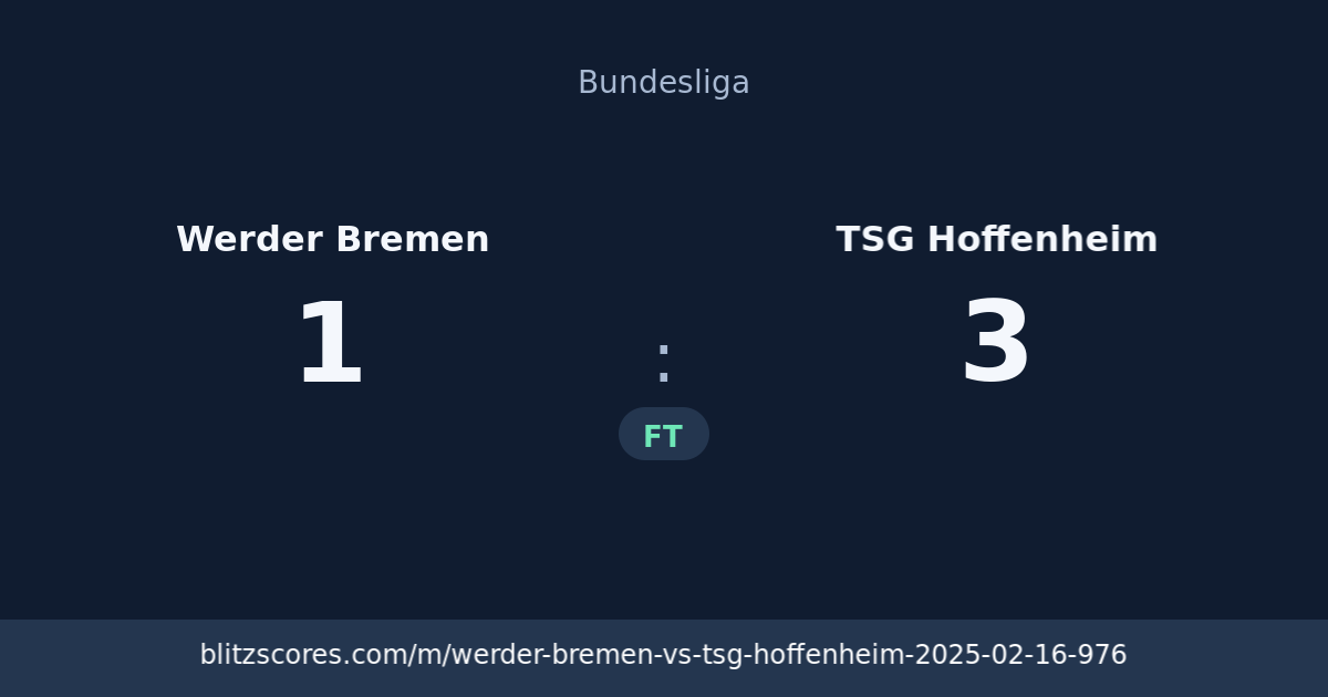 Werder Bremen vs TSG Hoffenheim score card